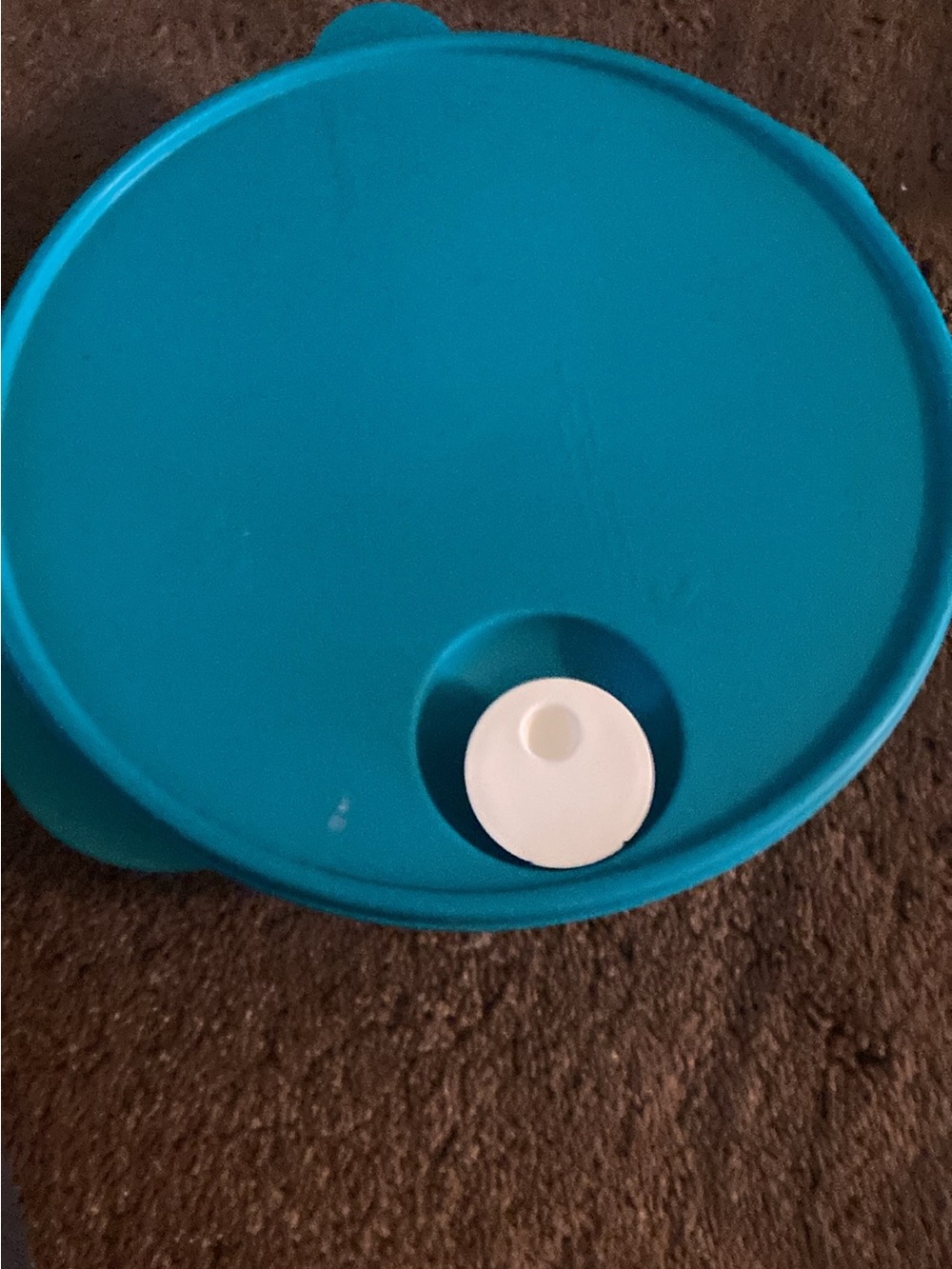 Tupperware brand divided dish